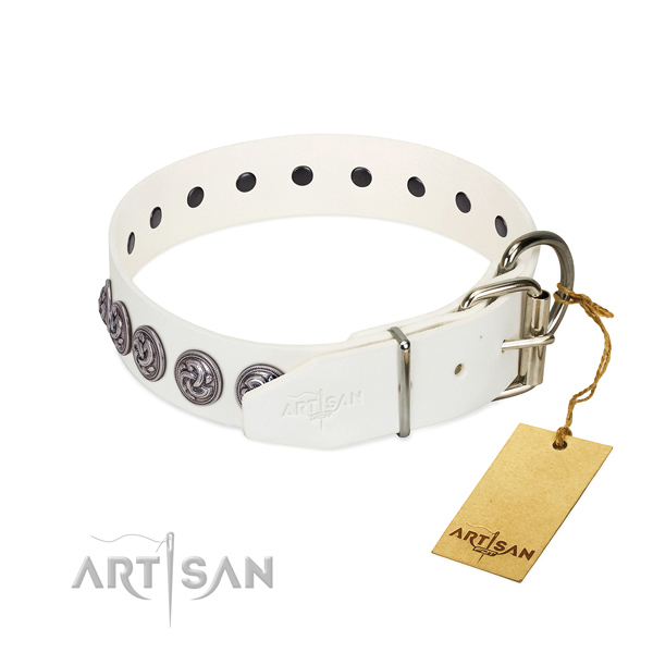 Corrosion proof buckle on genuine leather dog collar for daily walking your canine