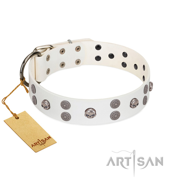 Stylish walking adorned full grain natural leather collar for your canine