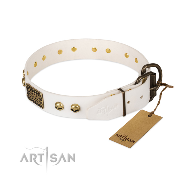 Easy wearing natural leather dog collar for everyday walking your doggie