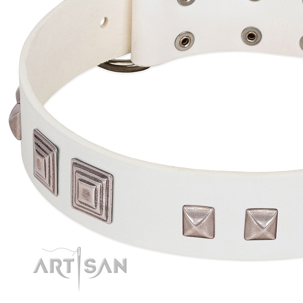 Leather dog collar with corrosion resistant buckle