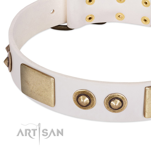 Rust-proof studs on full grain leather dog collar for your four-legged friend