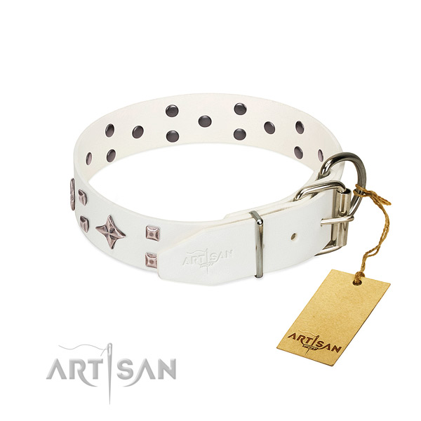 Awesome full grain genuine leather collar for your dog walking