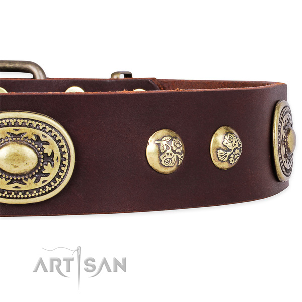 Impressive natural leather collar for your handsome pet