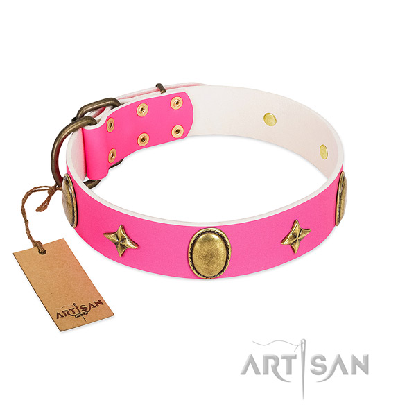 Quality full grain natural leather collar with amazing studs for your dog