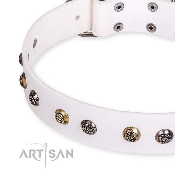 Full grain genuine leather dog collar with inimitable strong adornments