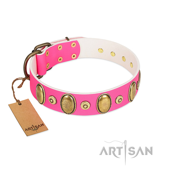 Flexible leather collar with rust-proof studs for your doggie
