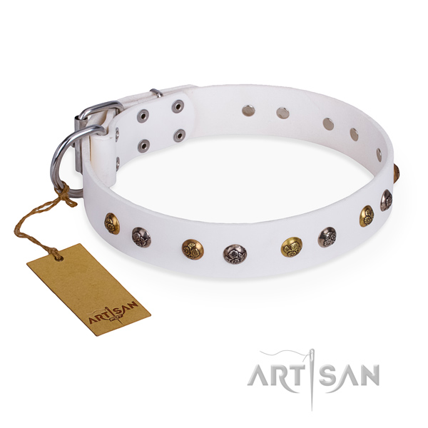 Walking decorated dog collar with corrosion proof hardware