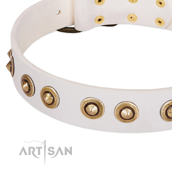 Corrosion resistant studs on natural leather dog collar for your dog