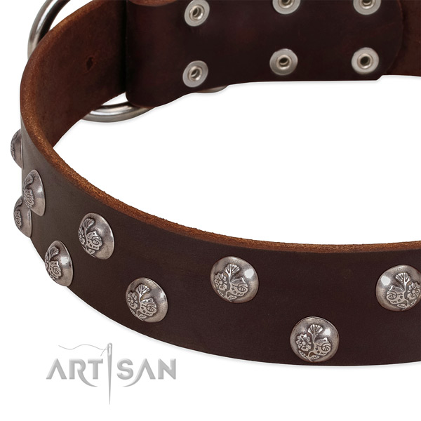 Genuine leather dog collar with durable traditional buckle and decorations