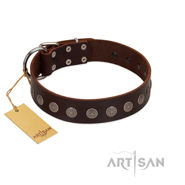 Stylish genuine leather collar for your canine