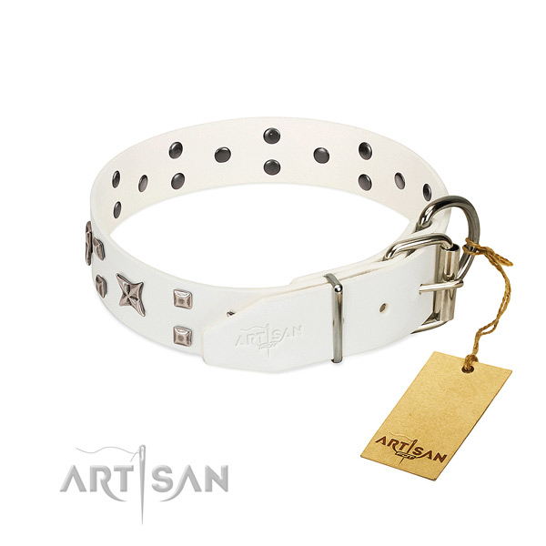 Quality full grain genuine leather dog collar with stunning studs