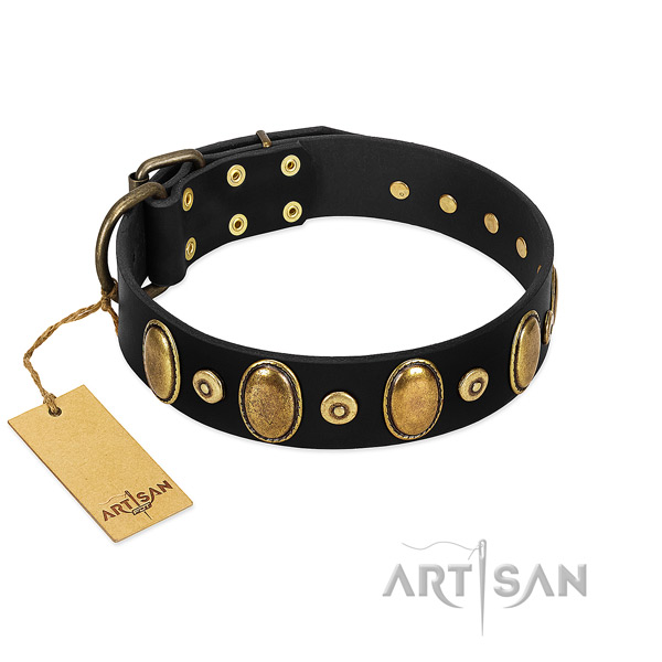 Reliable studs on dog collar for handy use