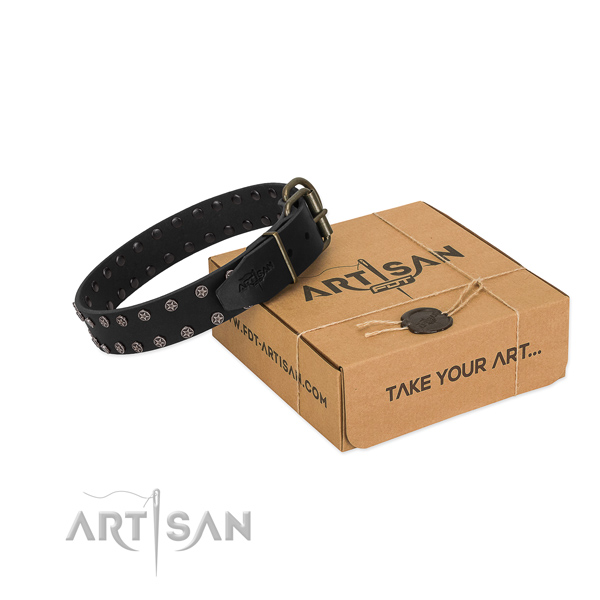 Quality natural leather dog collar with studs for your attractive four-legged friend
