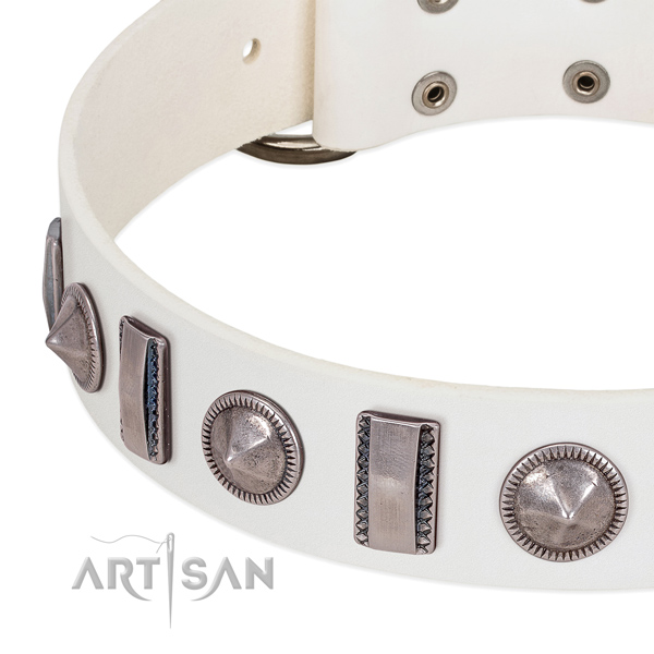 Fashionable decorated leather dog collar for fancy walking
