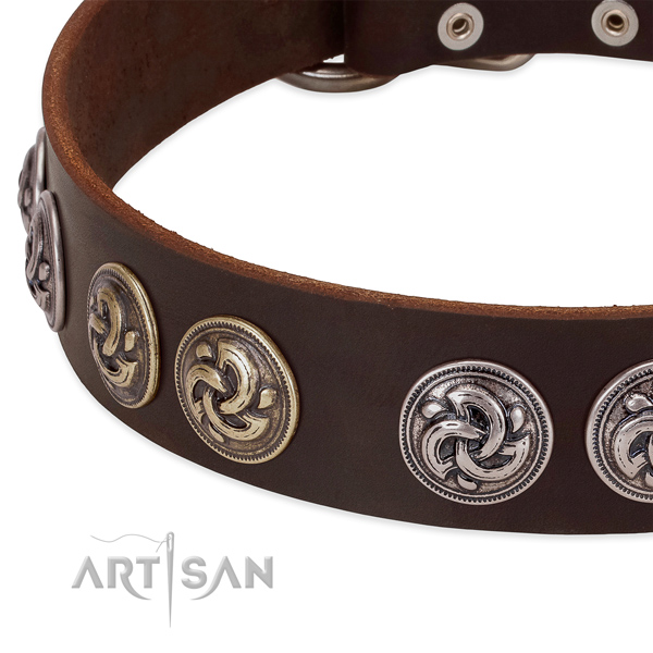 Fashionable genuine leather collar for your pet everyday walking