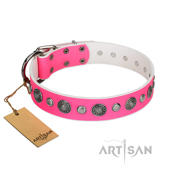 Flexible genuine leather dog collar with rust resistant fittings