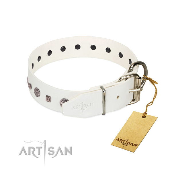 Corrosion proof studs on easy wearing collar for your dog