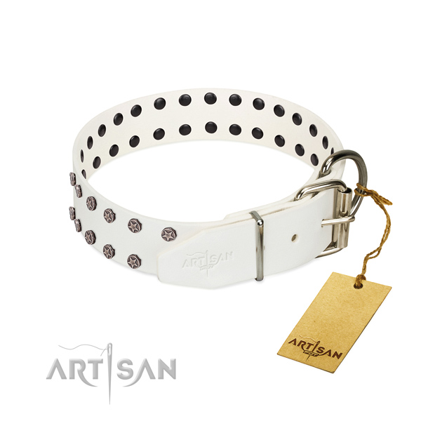 Rust resistant D-ring on leather dog collar for easy wearing