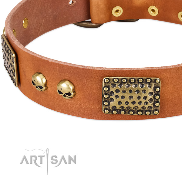 Durable D-ring on natural leather dog collar for your doggie