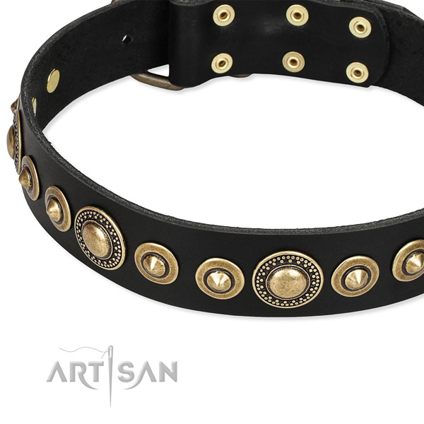 High quality full grain natural leather dog collar created for your impressive four-legged friend