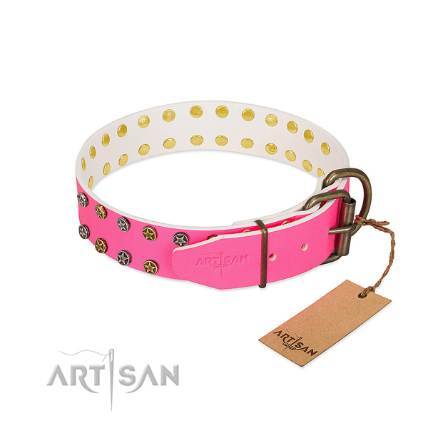 Quality genuine leather collar with decorations for your four-legged friend