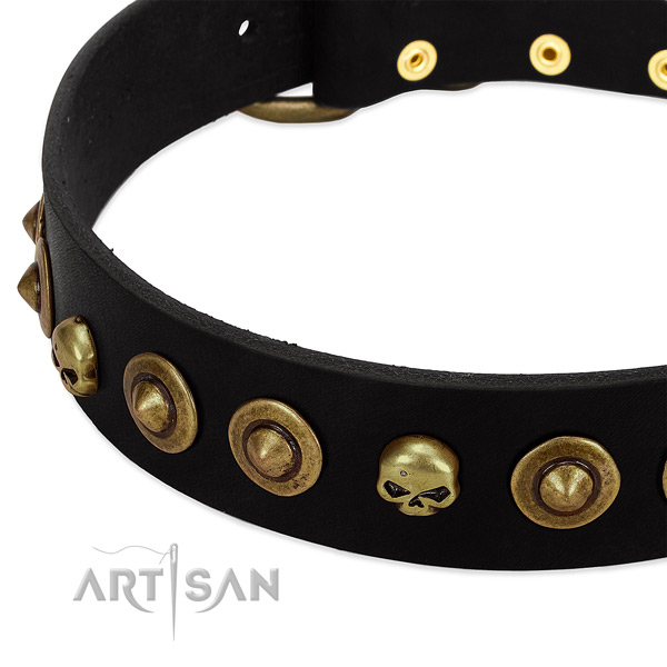 Full grain leather dog collar with impressive decorations