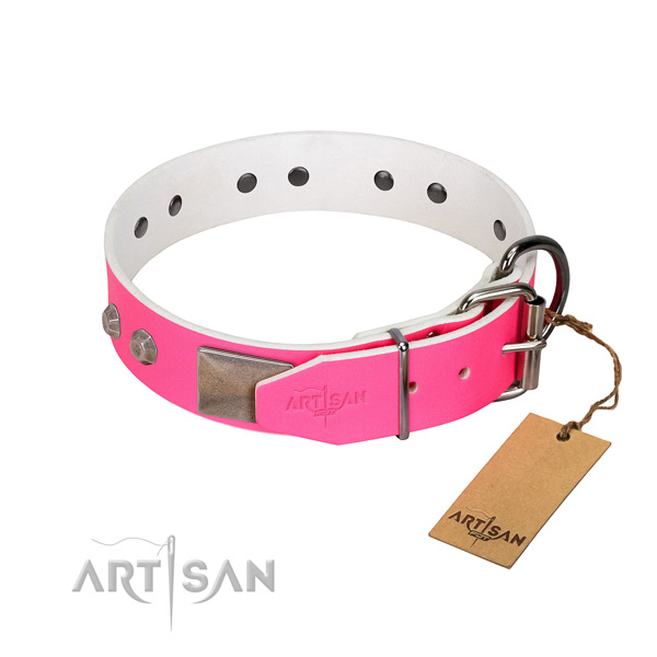 Daily walking dog collar of natural leather with extraordinary studs