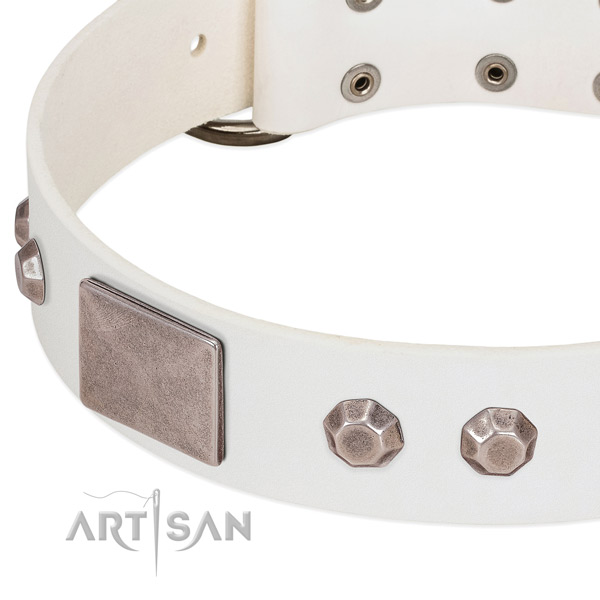 Easy wearing reliable genuine leather dog collar