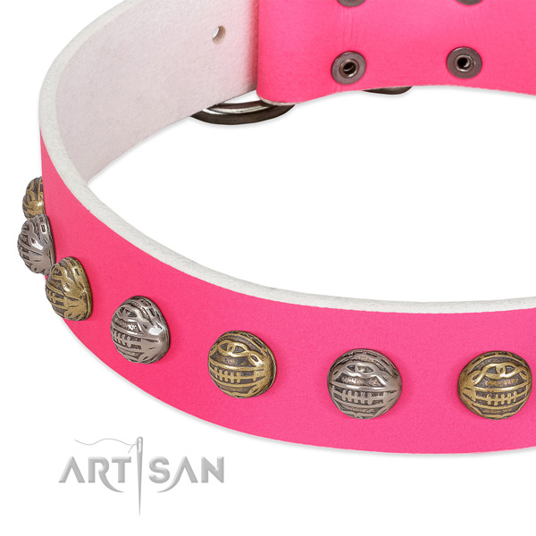 Rust-proof hardware on leather collar for basic training your canine