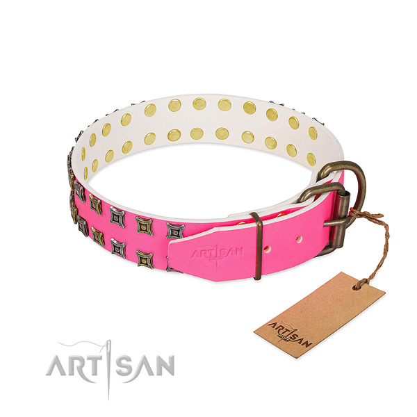 Full grain genuine leather collar with remarkable adornments for your canine