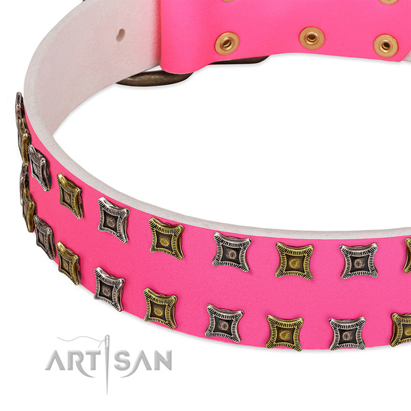 Full grain natural leather dog collar with studs for your lovely pet