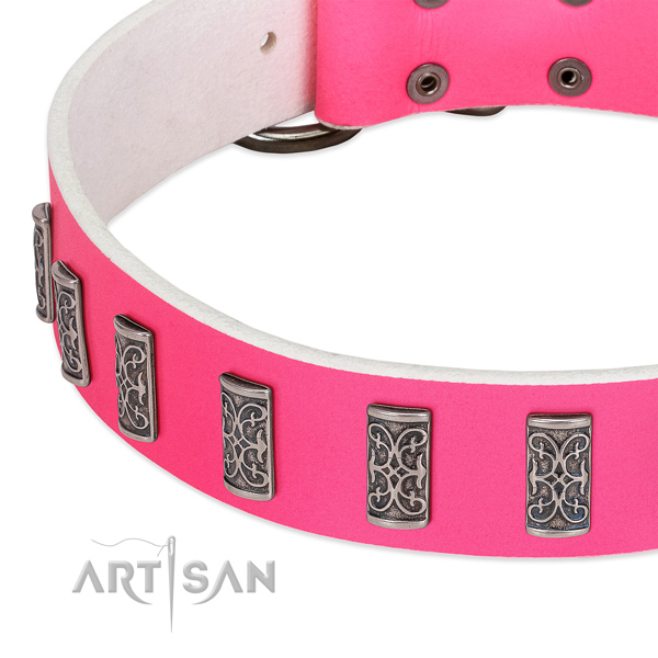 Exquisite genuine leather collar for your four-legged friend walking