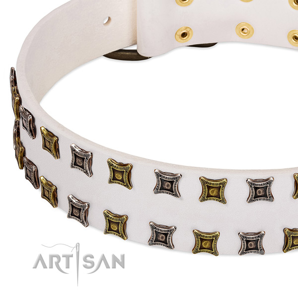 Durable leather dog collar for your impressive four-legged friend