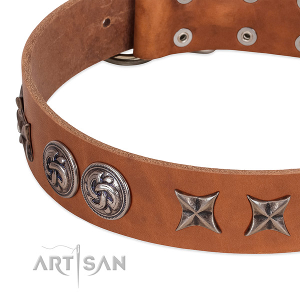 Genuine leather collar with top notch embellishments for your doggie