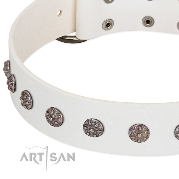 Best quality full grain leather dog collar with decorations for your pet