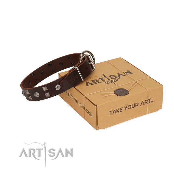 Full grain natural leather collar with embellishments for your beautiful canine