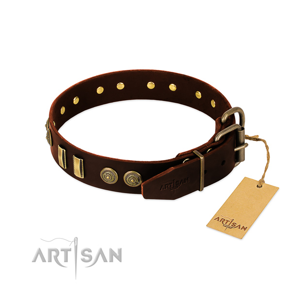 Rust resistant decorations on leather dog collar for your canine