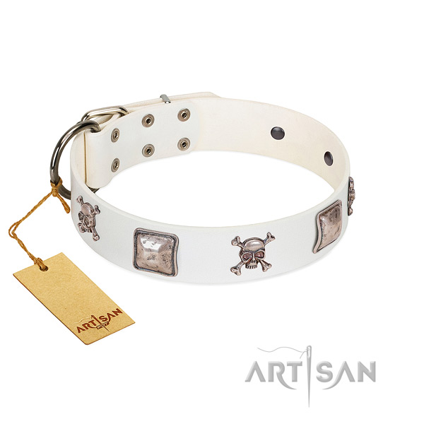 Remarkable dog collar handcrafted for your impressive dog