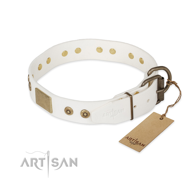 Full grain leather dog collar with strong fittings and embellishments