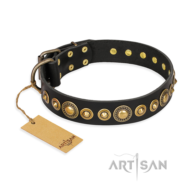 Top rate full grain leather dog collar handcrafted for stylish walking