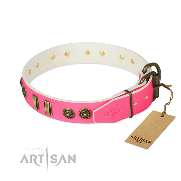 Corrosion resistant embellishments on natural leather dog collar for your dog