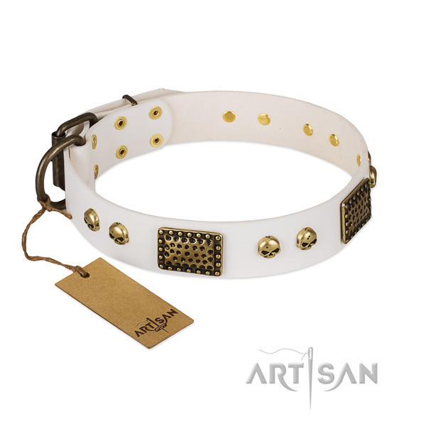 Reliable buckle on easy wearing dog collar