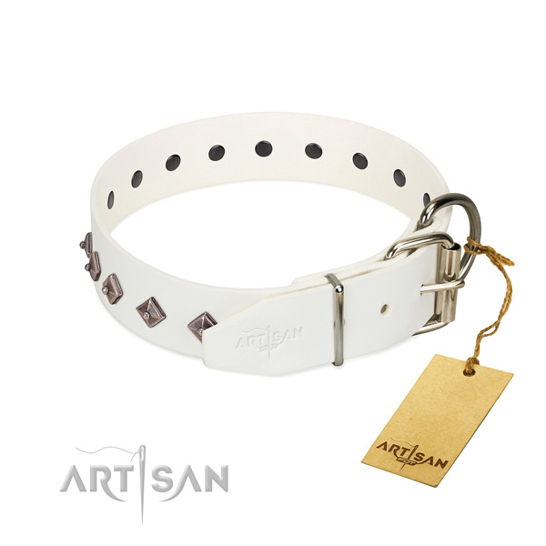Remarkable decorations on leather collar for everyday walking your pet