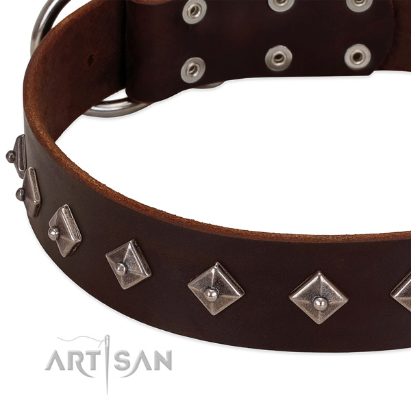 Stylish collar of leather for your stylish pet