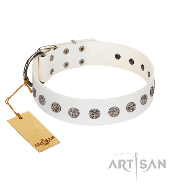 Extraordinary embellishments on full grain leather collar for everyday use your four-legged friend