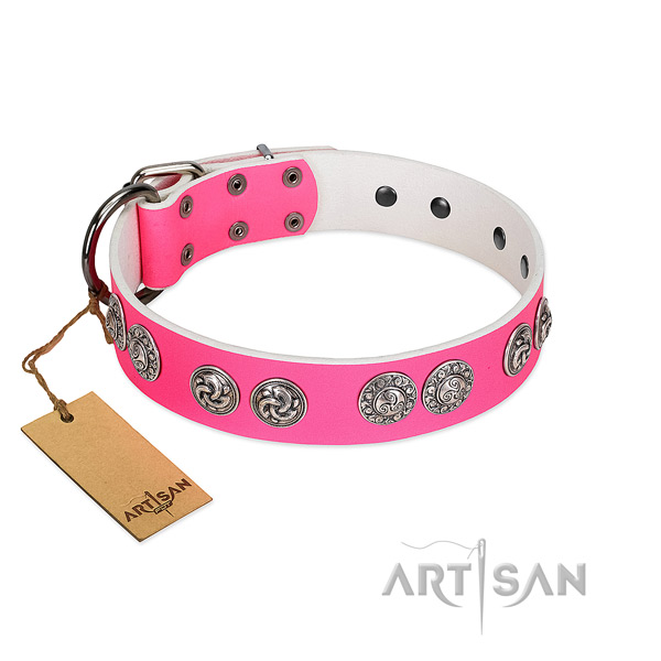 Amazing full grain natural leather collar for your four-legged friend daily walking