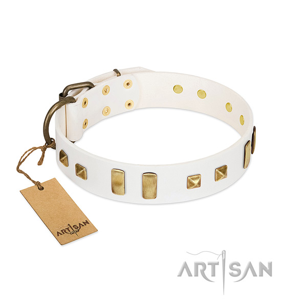 Leather dog collar with reliable buckle