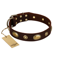 "Hebe's Jewel" FDT Artisan Brown Genuine Leather Cane Corso Collar