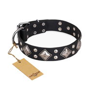 "Smart Geometry" FDT Artisan Studded Leather Cane Corso Collar