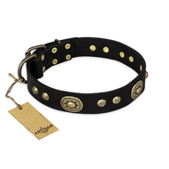 "High Fashion" FDT Artisan Studded with Plates Black Leather Cane Corso Collar